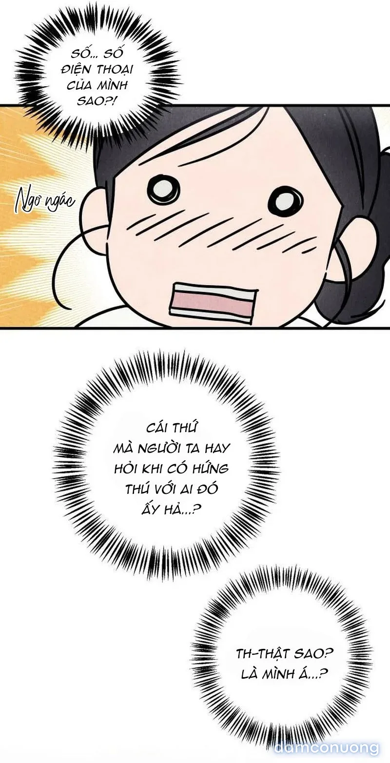 Câu Lạc Bộ Chị Đẹp 