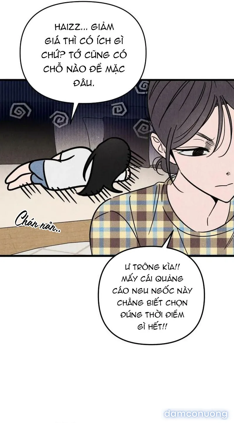 Câu Lạc Bộ Chị Đẹp 