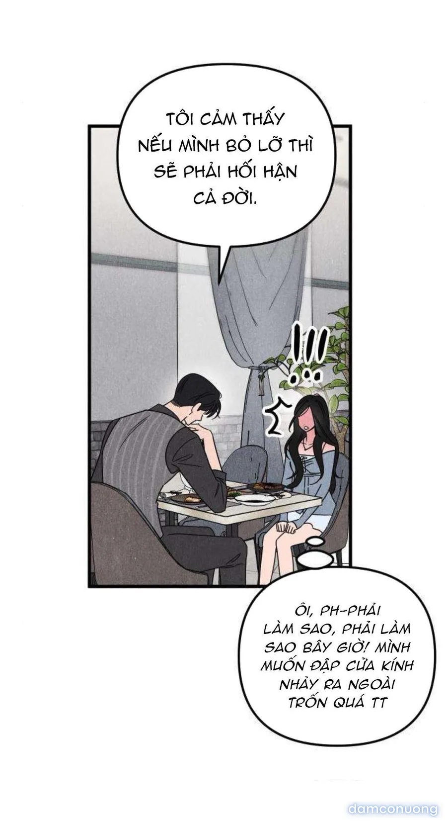 Câu Lạc Bộ Chị Đẹp 