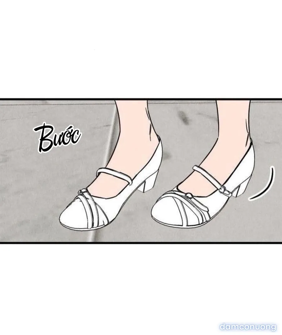Câu Lạc Bộ Chị Đẹp 
