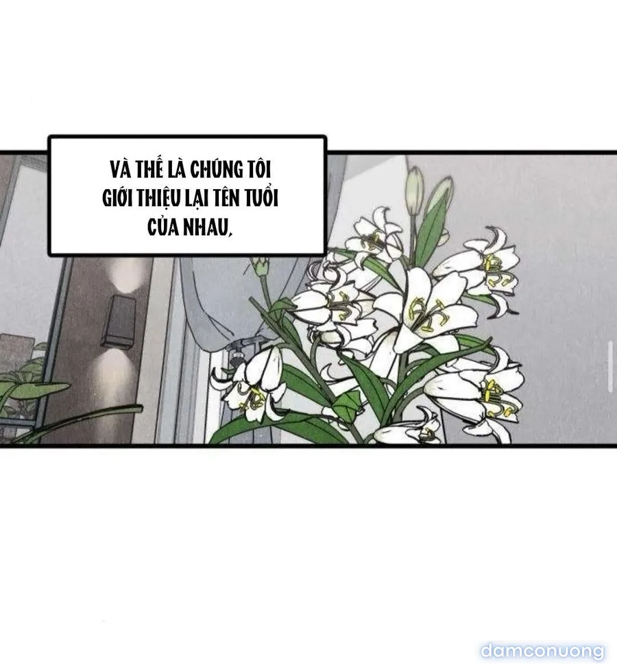 Câu Lạc Bộ Chị Đẹp 