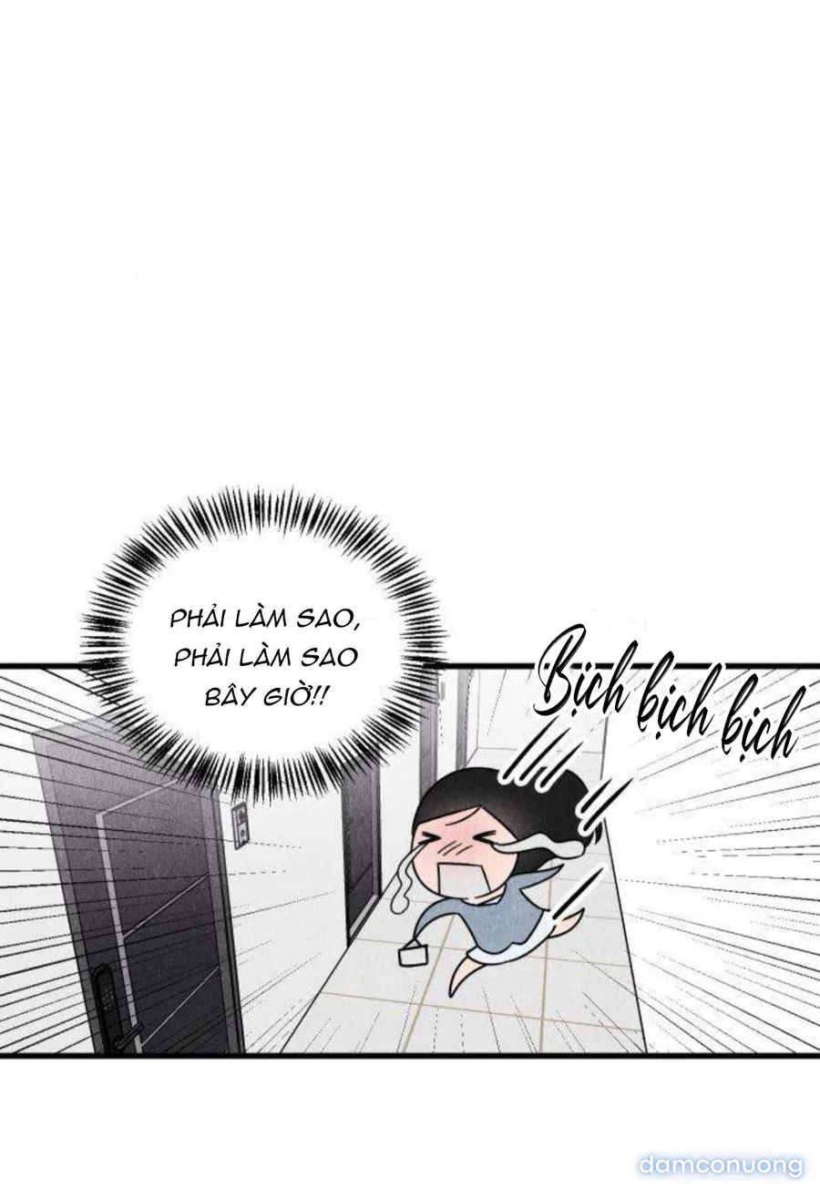 Câu Lạc Bộ Chị Đẹp 