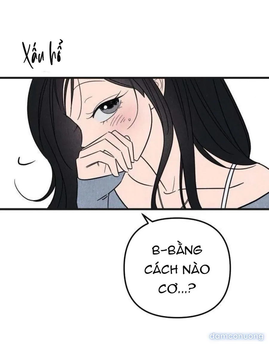 Câu Lạc Bộ Chị Đẹp 