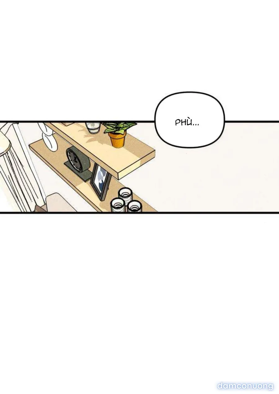 Câu Lạc Bộ Chị Đẹp 
