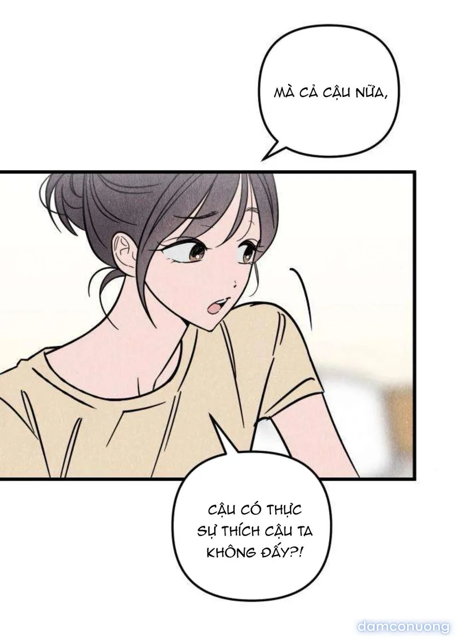 Câu Lạc Bộ Chị Đẹp 