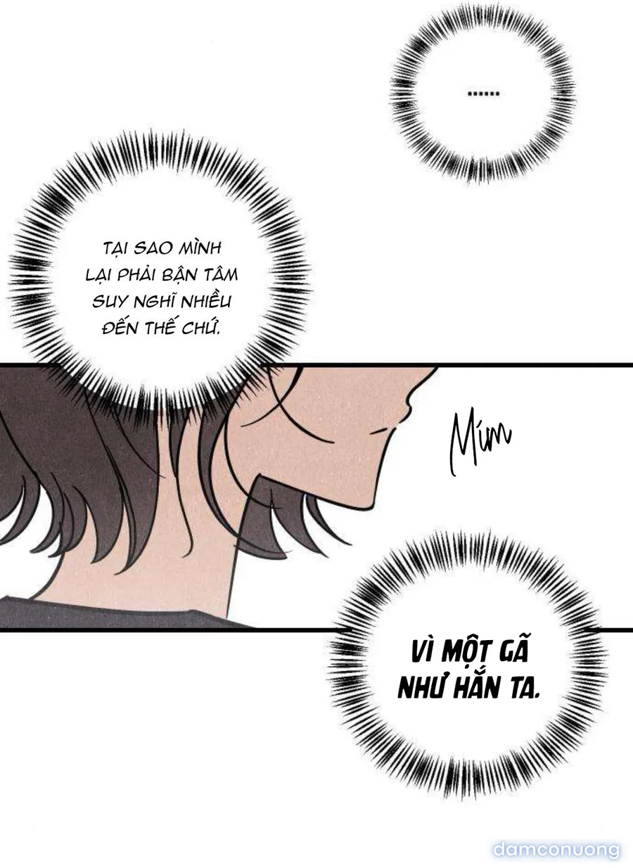Câu Lạc Bộ Chị Đẹp 
