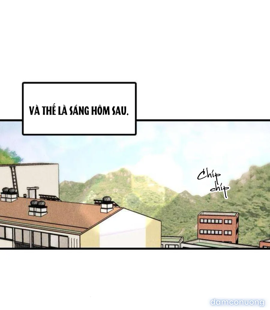Câu Lạc Bộ Chị Đẹp 