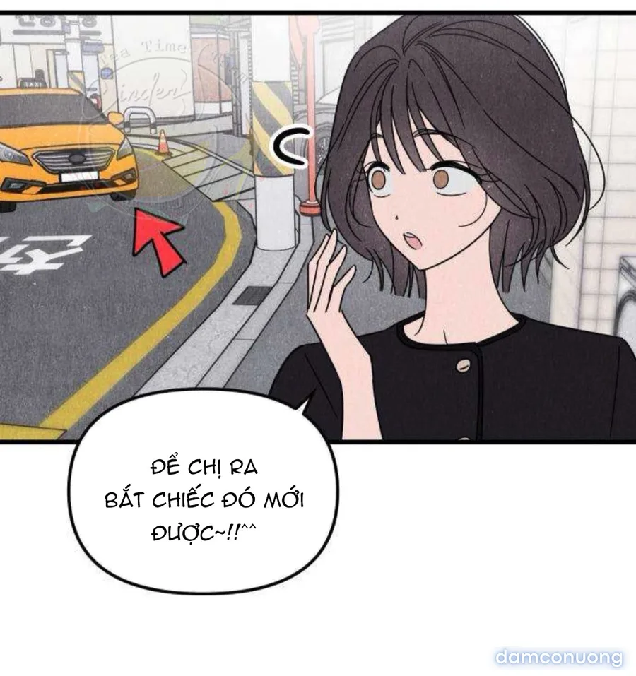 Câu Lạc Bộ Chị Đẹp 