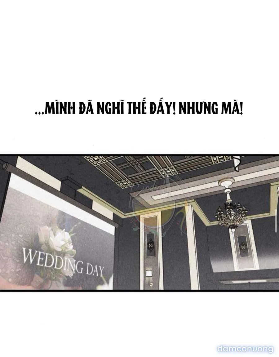 Câu Lạc Bộ Chị Đẹp 