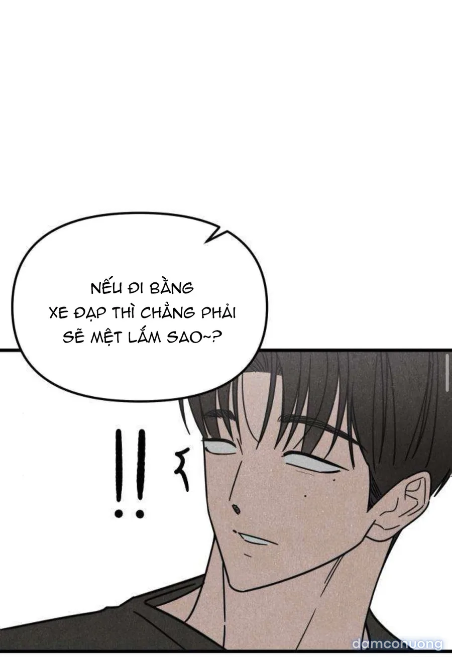 Câu Lạc Bộ Chị Đẹp 