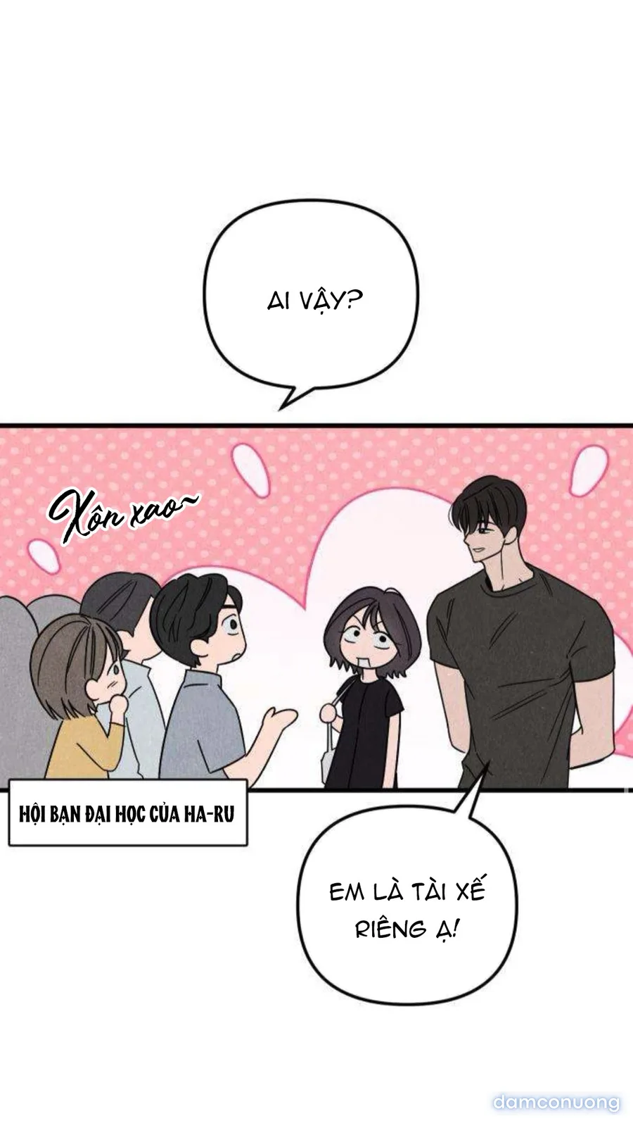 Câu Lạc Bộ Chị Đẹp 