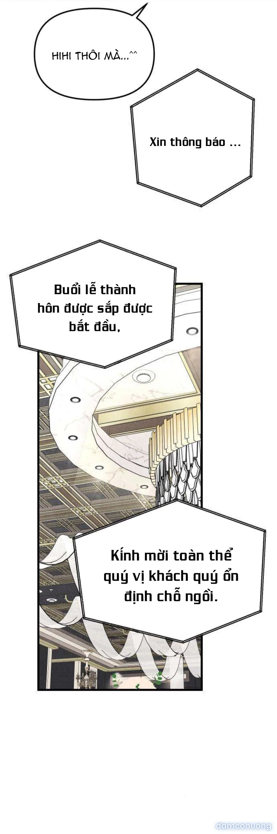Câu Lạc Bộ Chị Đẹp 