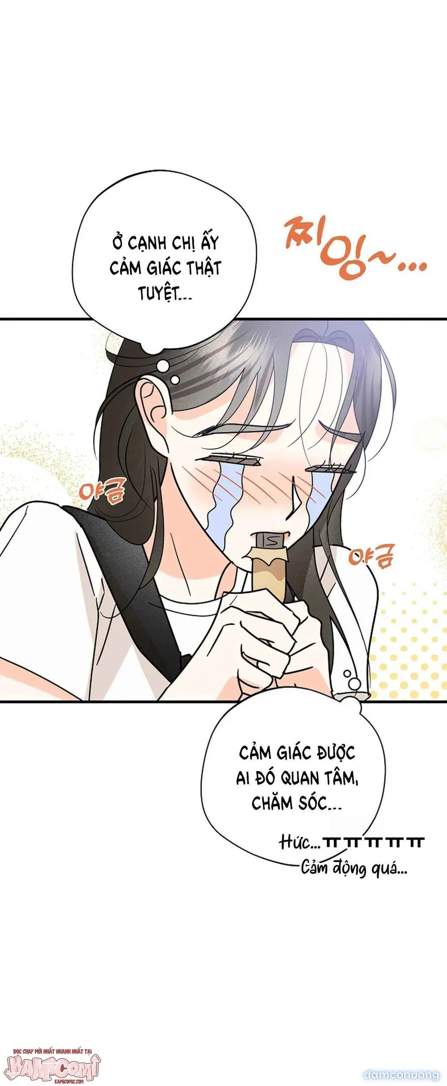 Đừng Cãi Nhau Nữa, Đi Ngủ Thôi 