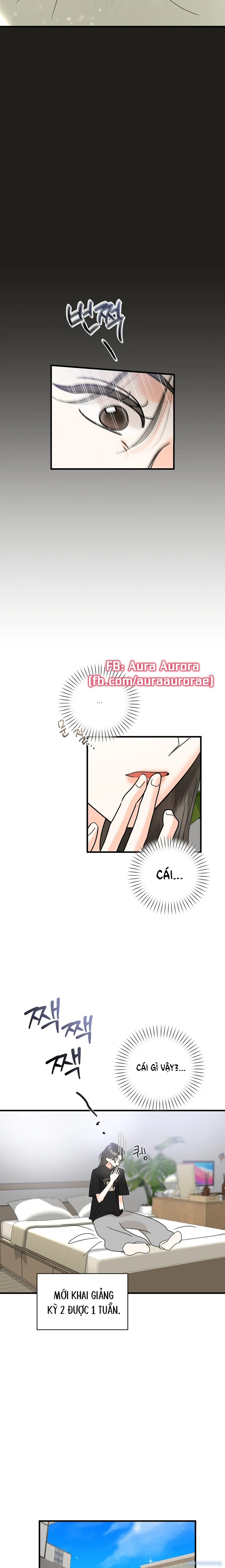 Đừng Cãi Nhau Nữa, Đi Ngủ Thôi 