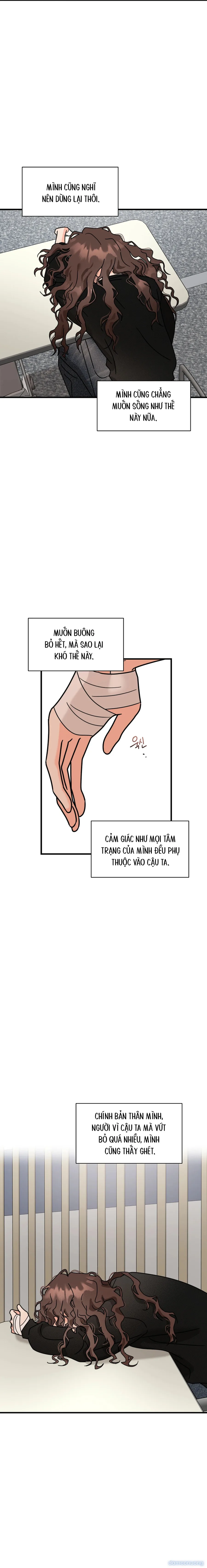 Đừng Cãi Nhau Nữa, Đi Ngủ Thôi 