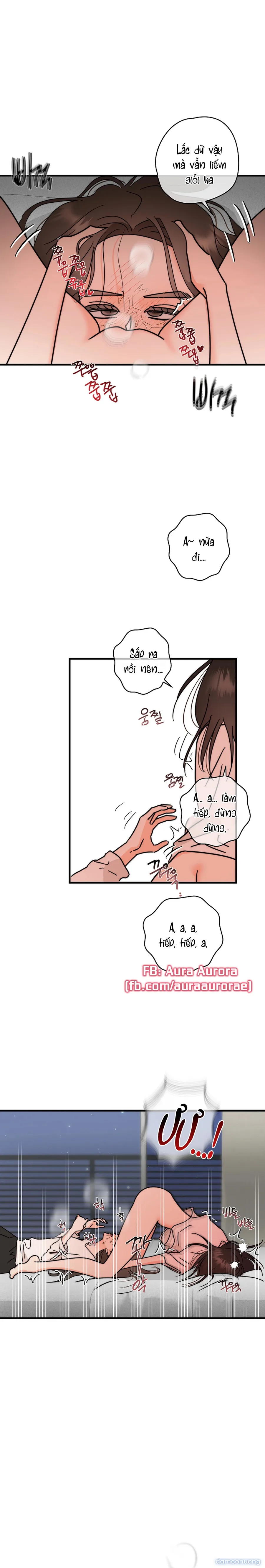 Đừng Cãi Nhau Nữa, Đi Ngủ Thôi 