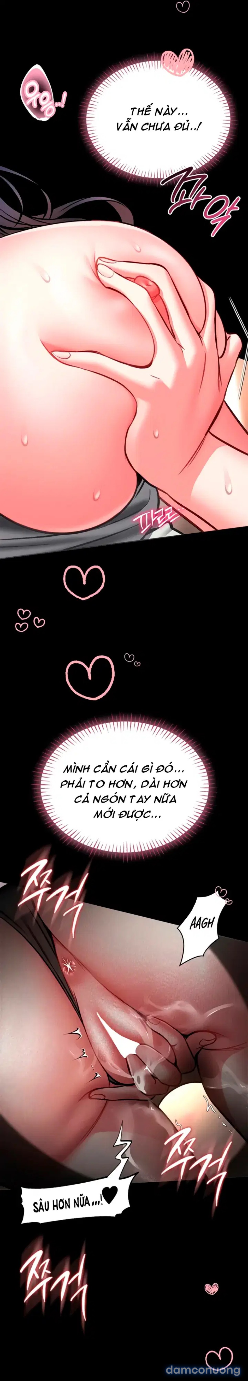 Khóa học tự vệ 