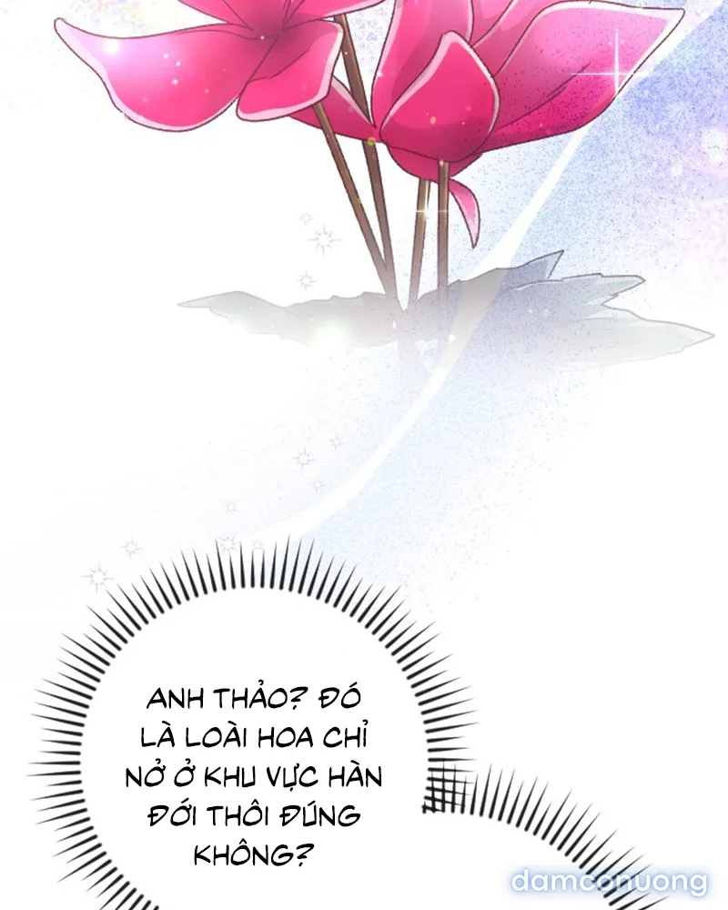 Dành Cho Những Ai Coi Hối Tiếc Là Điều Xa Xỉ 