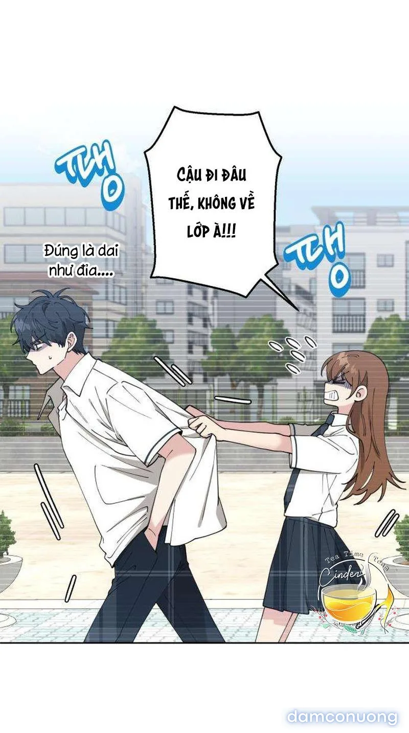 Tên Khốn Đẹp Trai 