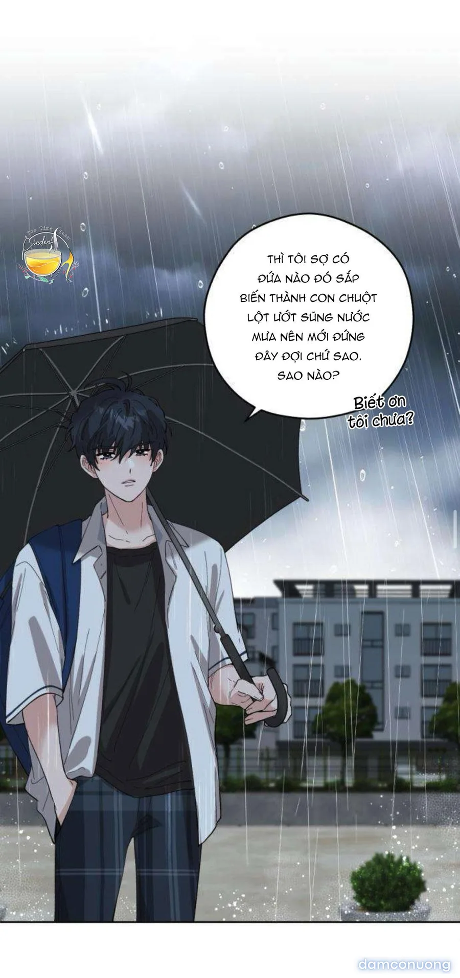 Tên Khốn Đẹp Trai 