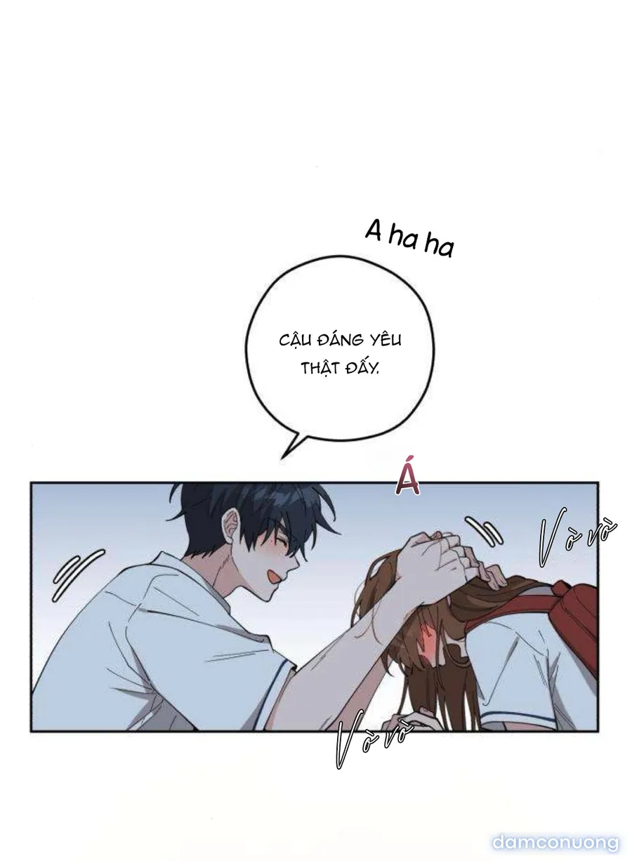 Tên Khốn Đẹp Trai 