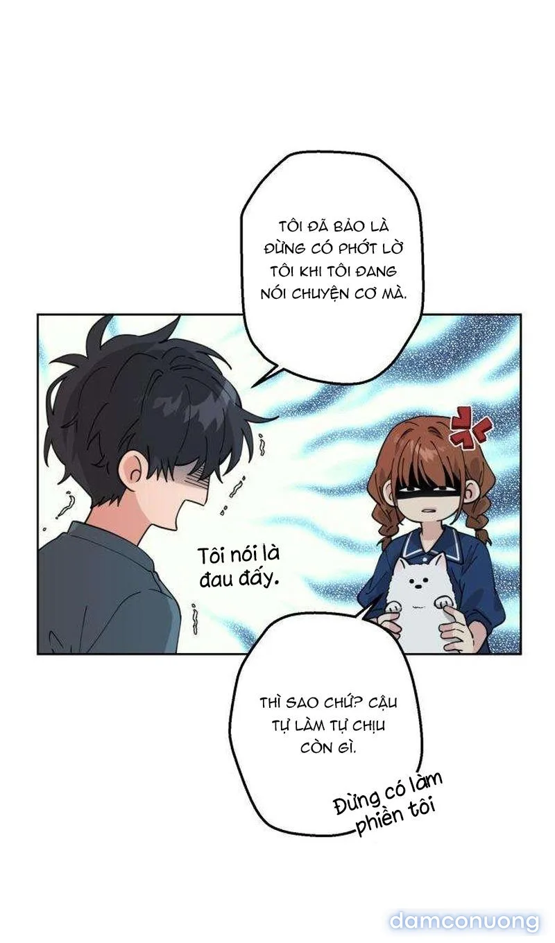 Tên Khốn Đẹp Trai 