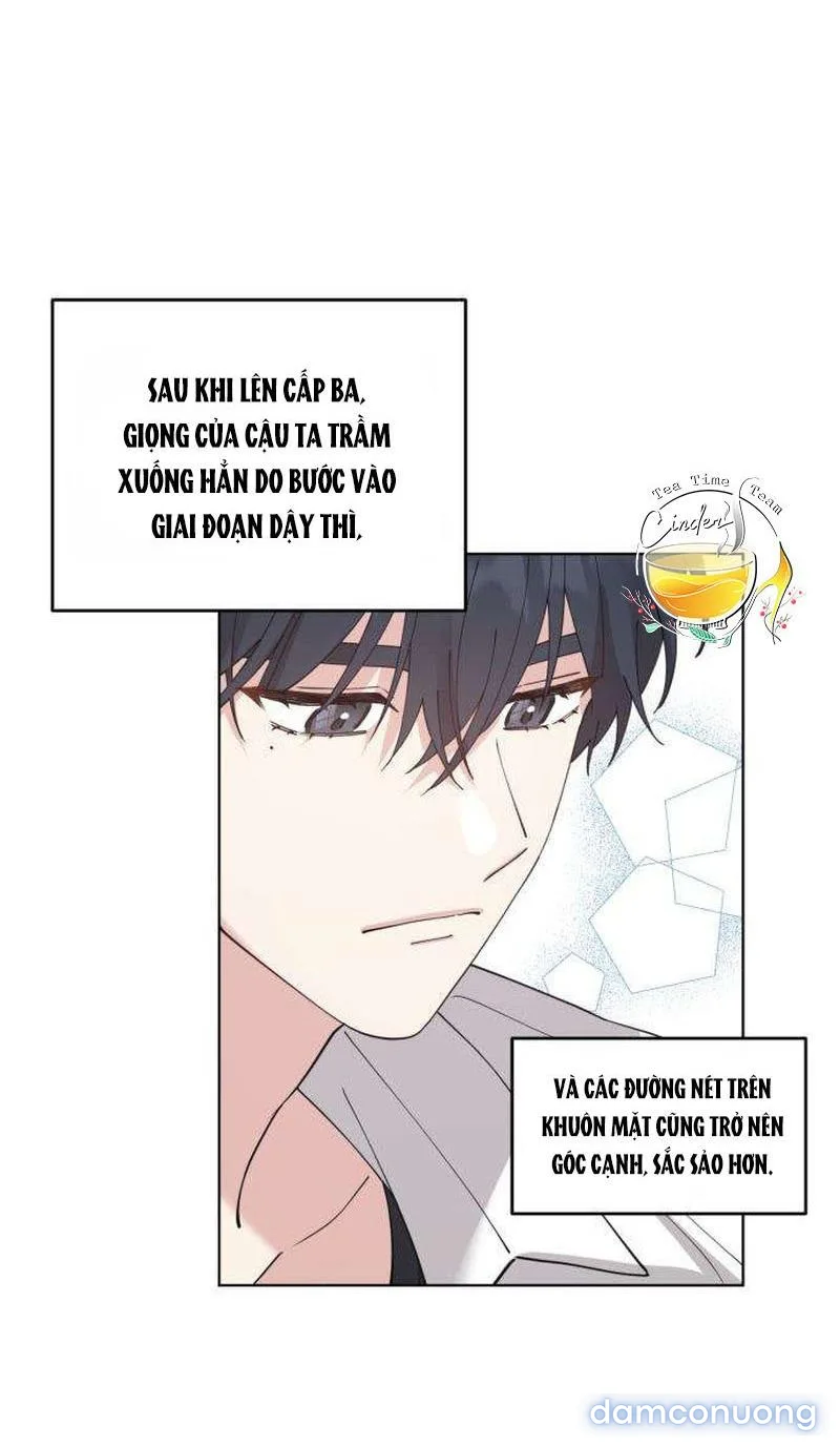 Tên Khốn Đẹp Trai 