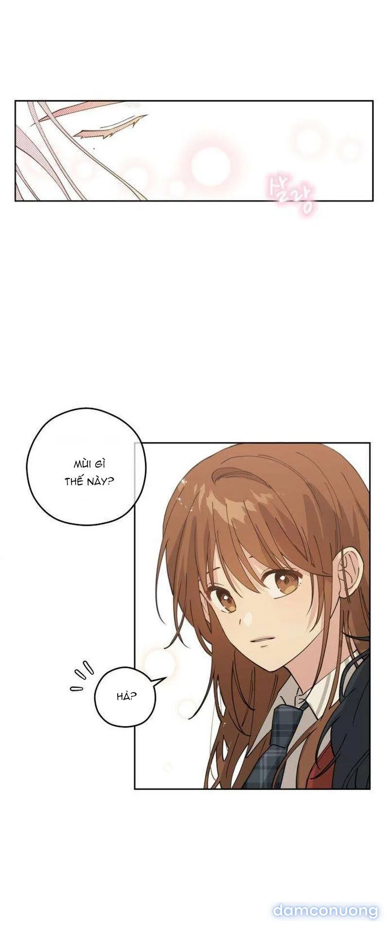 Tên Khốn Đẹp Trai 