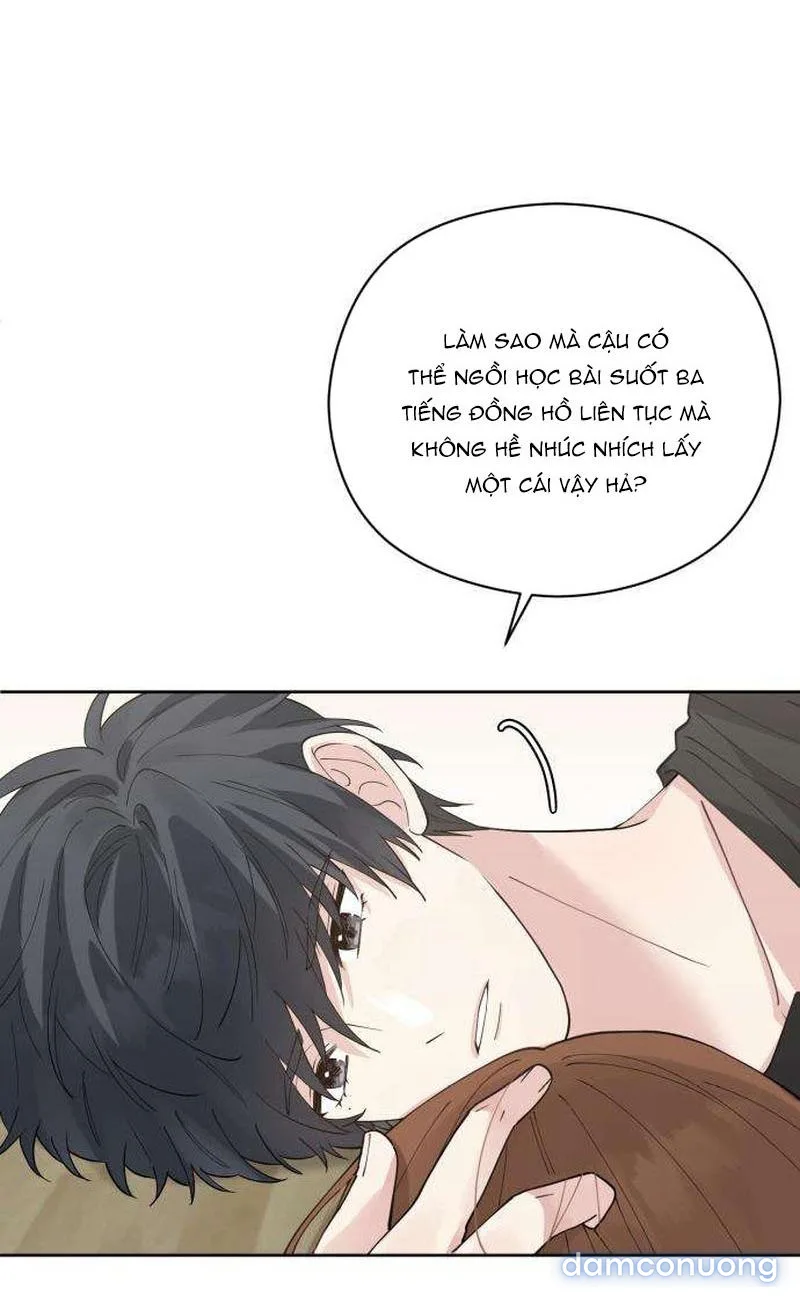 Tên Khốn Đẹp Trai 