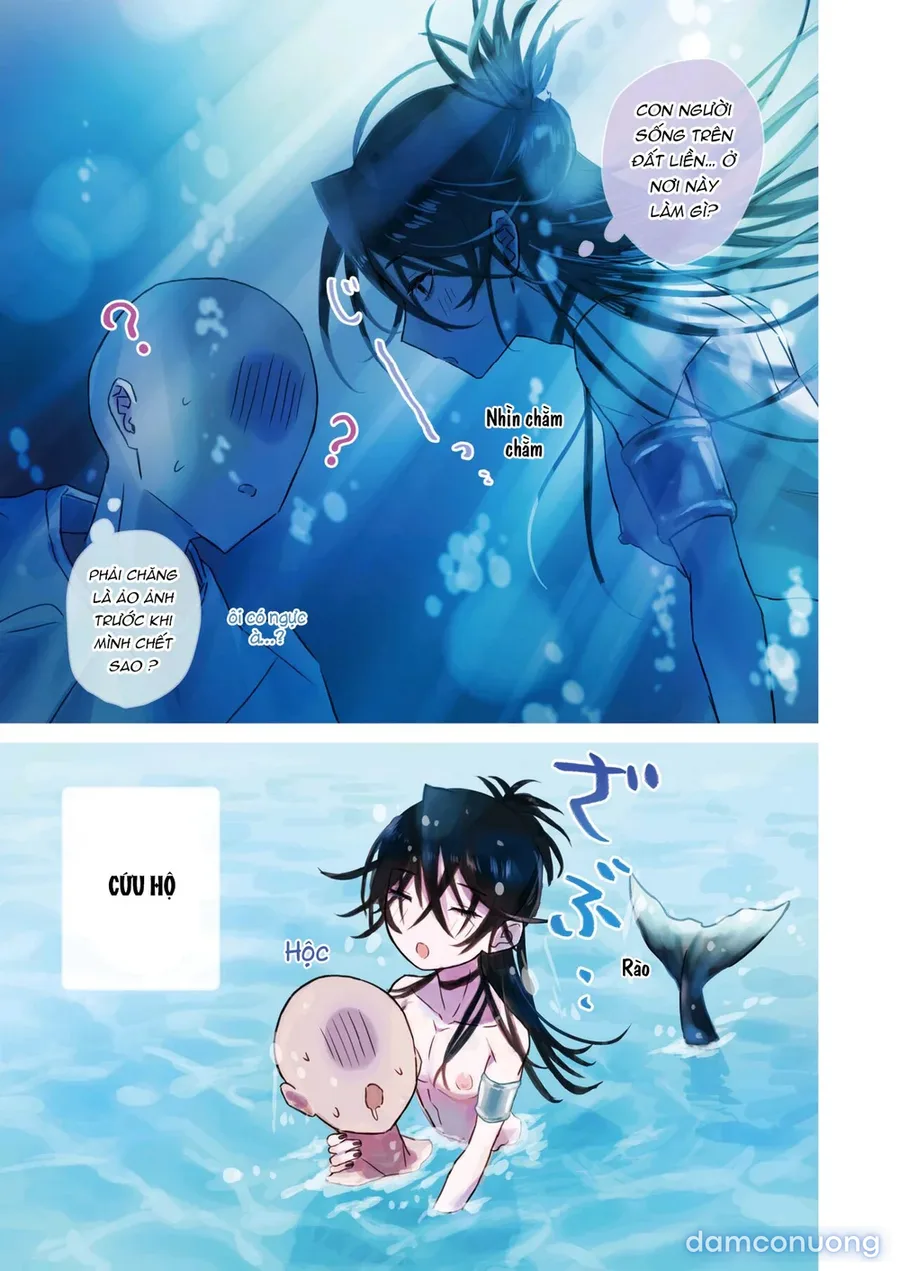 Tasuketekureta Ningyo no Mesu Onii-san to Icha Icha suru Hon 