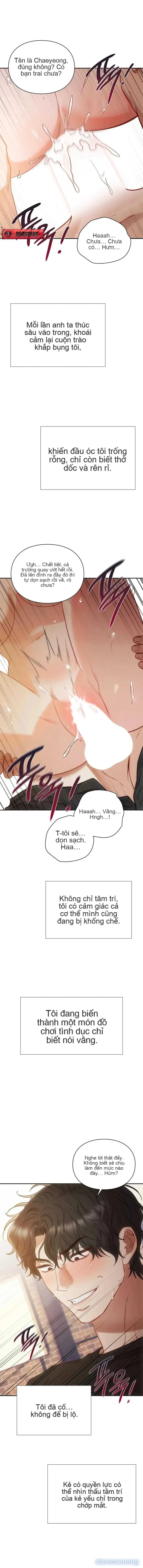 Nhật Ký Tội Lỗi 