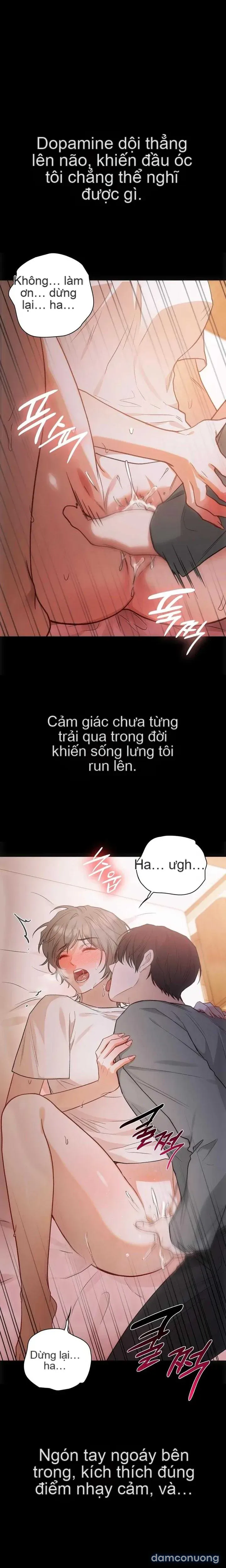 Nhật Ký Tội Lỗi 