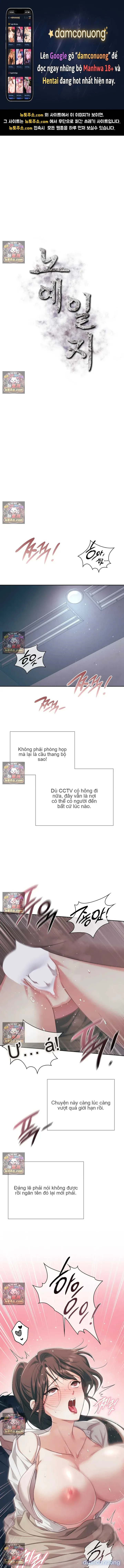 Nhật Ký Tội Lỗi 