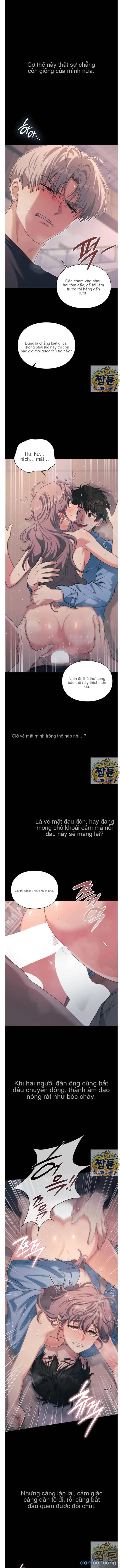 Nhật Ký Tội Lỗi 