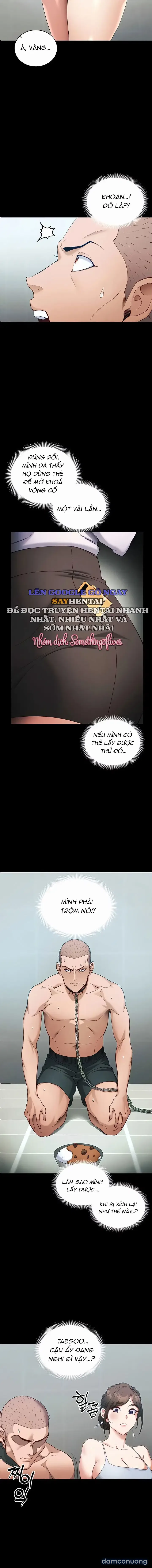 Thuần Hóa Nữ Đầu Gấu 