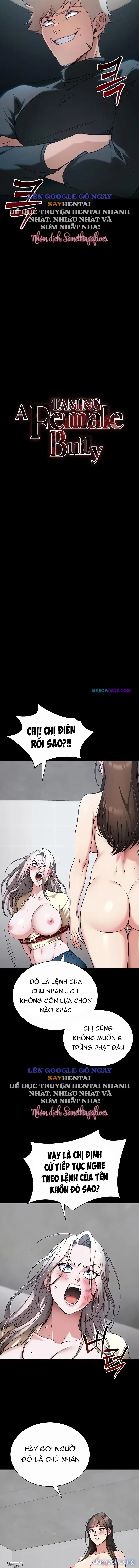 Thuần Hóa Nữ Đầu Gấu 