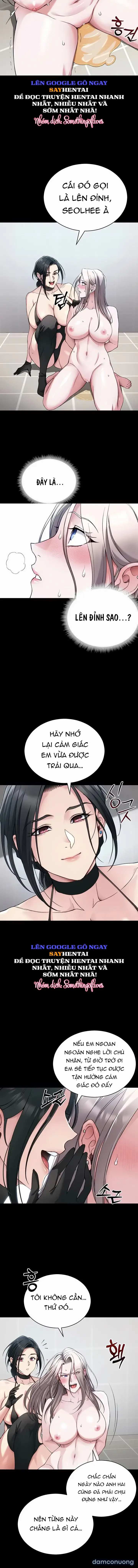 Thuần Hóa Nữ Đầu Gấu 