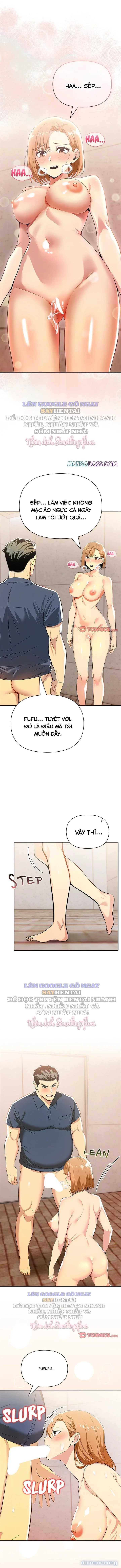 Cuộc tình đắt giá 