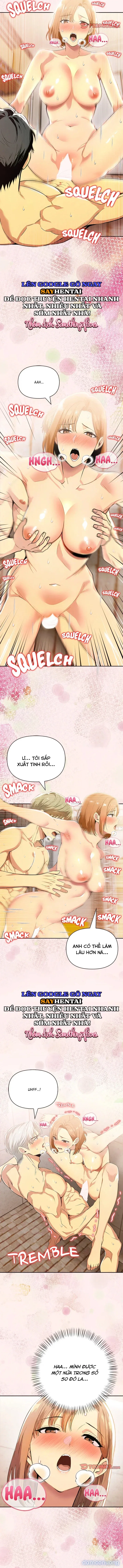 Cuộc tình đắt giá 