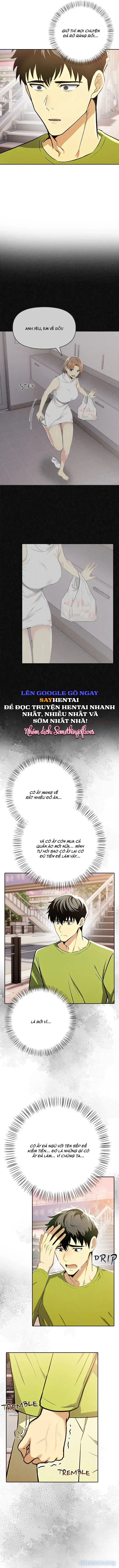 Cuộc tình đắt giá 