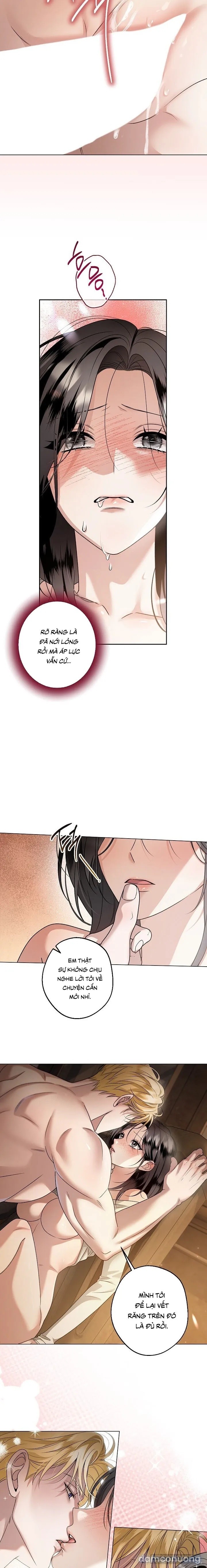 [18+] Điểm Chí 