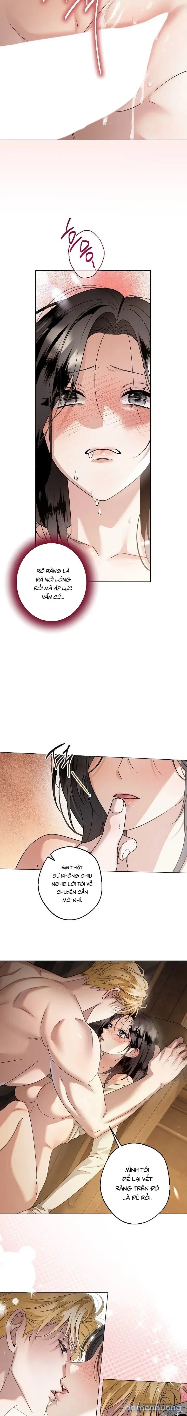 [18+] Điểm Chí 