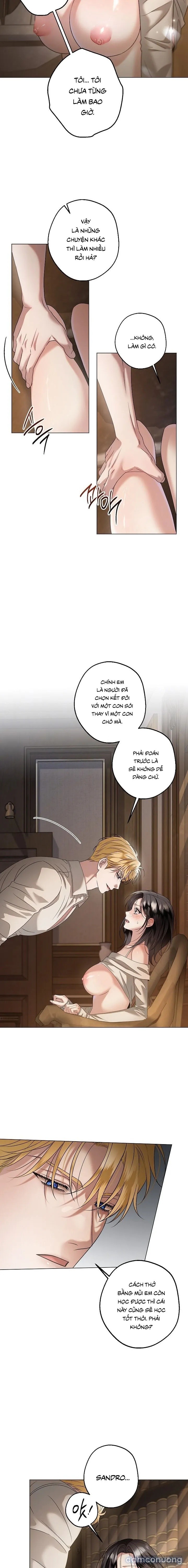 [18+] Điểm Chí 