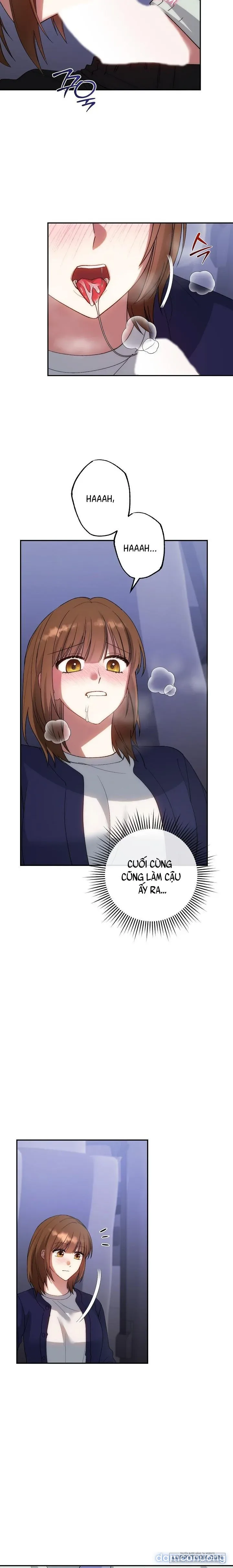 Tam Giác Công Việc 