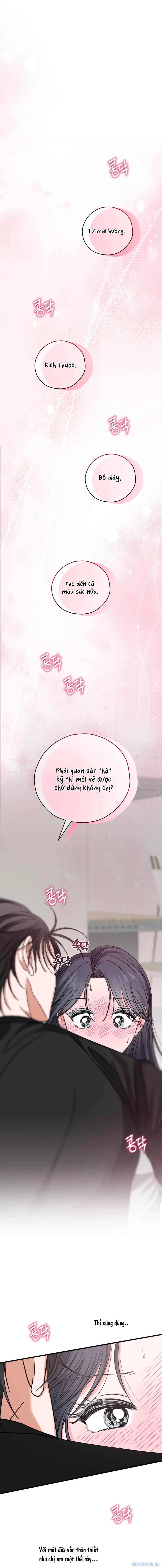 Ký Họa Đêm Hè 