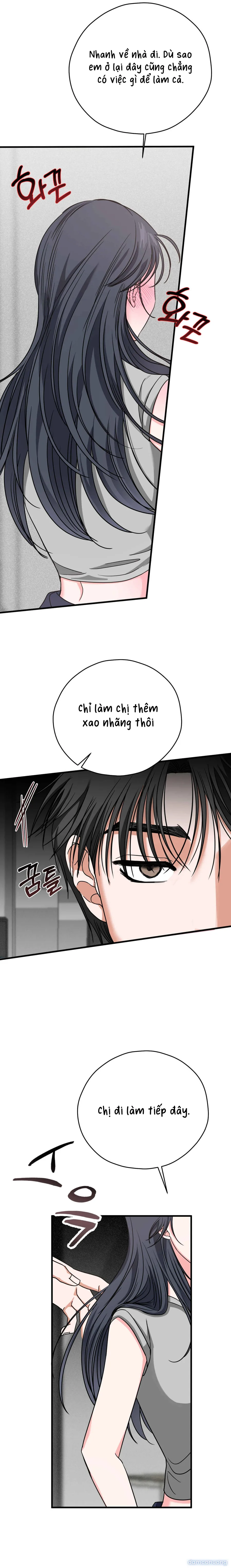 Ký Họa Đêm Hè 