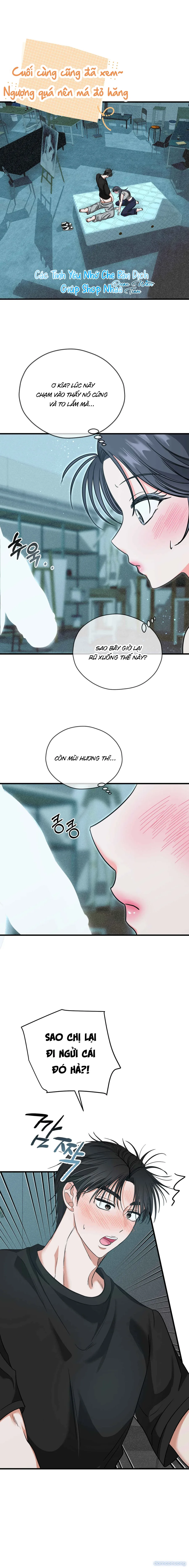 Ký Họa Đêm Hè 