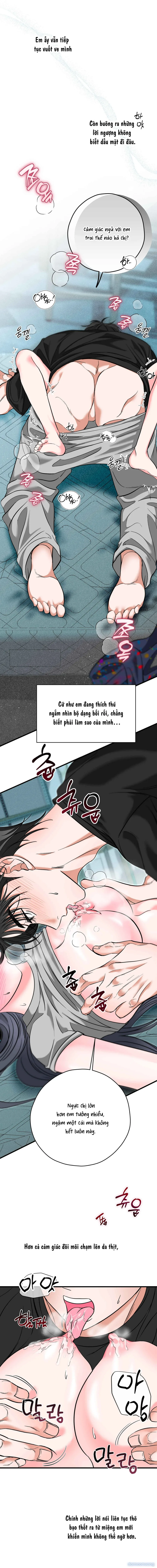 Ký Họa Đêm Hè 