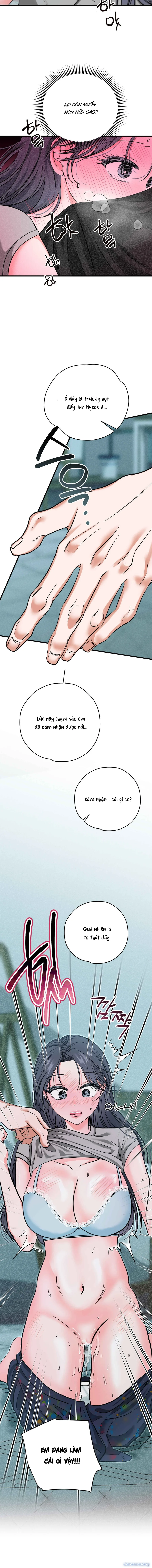 Ký Họa Đêm Hè 