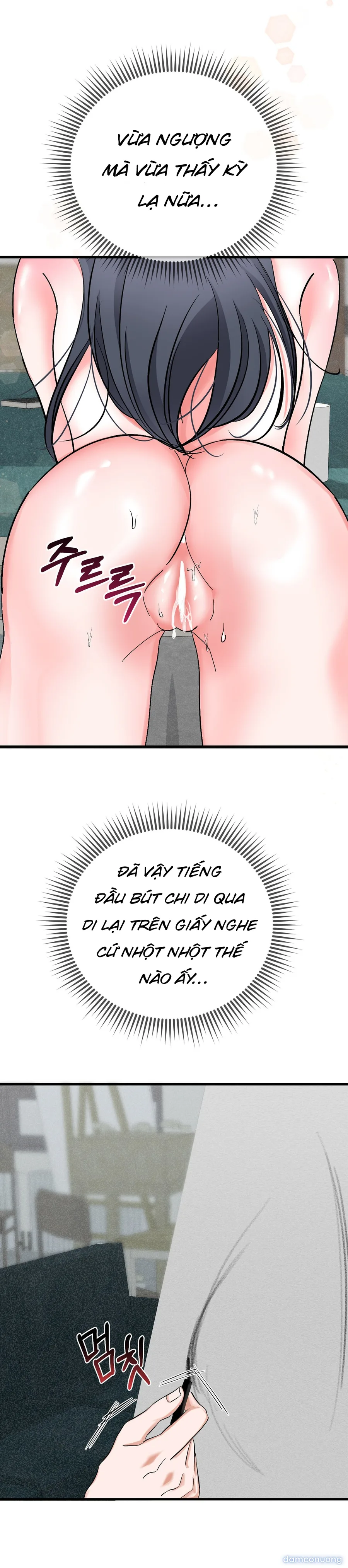 Ký Họa Đêm Hè 